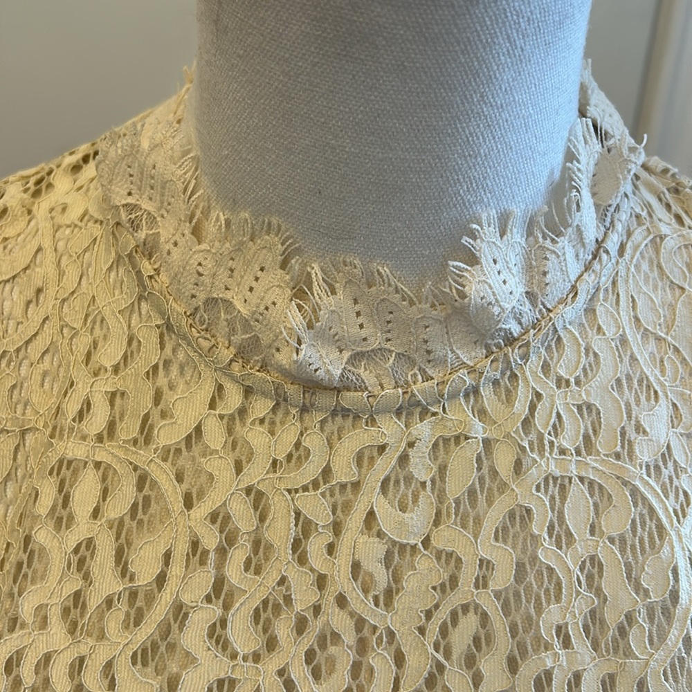 Feather and Lace Dress - Picture 3 of 14